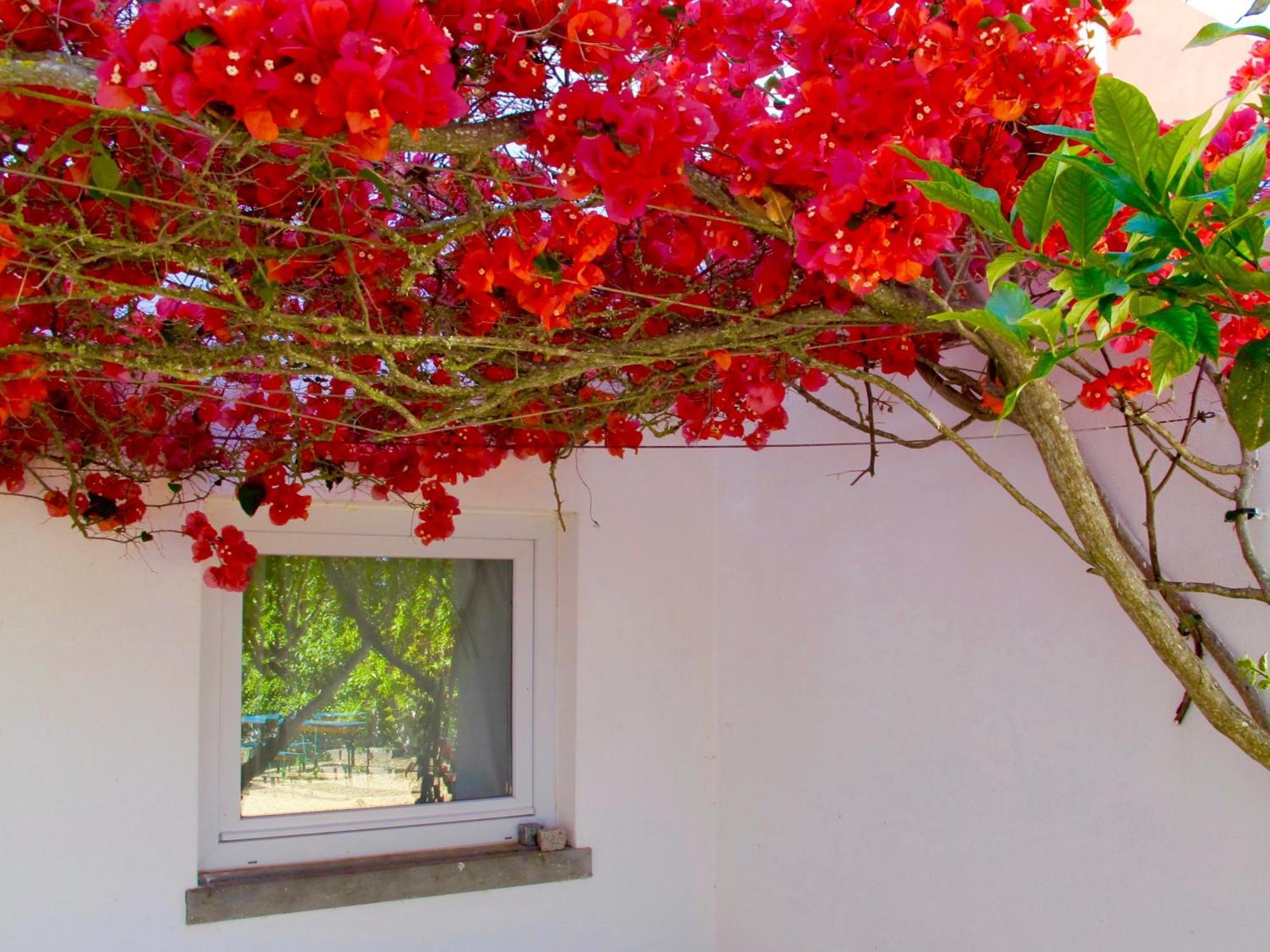 Seaya Villas Cascais Room photo
